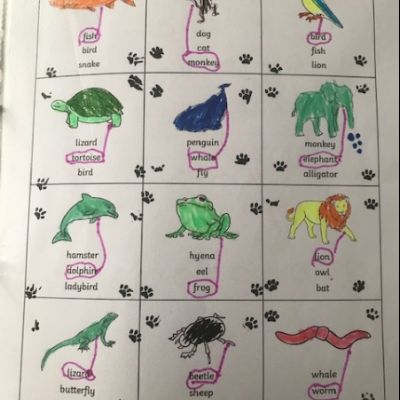 image1 (4)